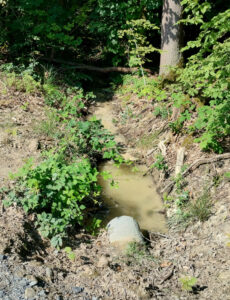 Entwässerungsgraben mit tonhaltigem Wasser